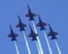 6 in formation.jpg 6 in formation.jpg