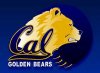 cal bear.jpg