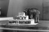 12-28-11-Packy-and-birthday-cake-1963.jpg