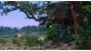 treehouse.jpg