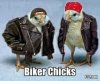 1787880230-funny-biker-chicks.jpg