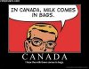 canadian milk bag.jpg