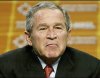 bush smirk 2.jpg bush smirk 2.jpg