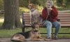 old-lady-dogs.jpg