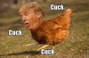 IMG_0650.JPG IMG_0650.JPG