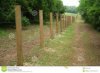 fence posts.jpg