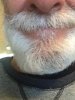 IMG_2456BEARD .JPG