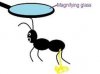 Piss ant.jpg Piss ant.jpg