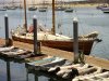 MarAzul Morro Bay Yacht Club guest dock.JPG