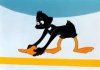 daffy beakless.jpg daffy beakless.jpg