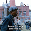 Happy New Year Don'T Live Like You'Re In Prison GIF - Find _ Share on GIPHY.gif