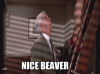 nice beaver.gif