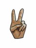 peace-fingers-zoom.jpg