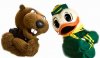 beavers and ducks.jpg