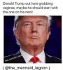 donald neck vagina.jpg