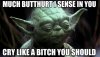 Yoda Cry like a bitch you sound.....jpg