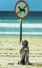 funny-dog-towl-beach-sea-4786.jpg