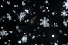 0226snowflake4.jpg
