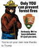 only-you-can-prevent-forest-fires-national-park-service-seriously-18711551.png