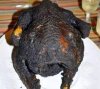 burnt-turkey.jpg