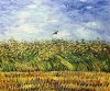Van Gogh's wheat field.jpg