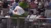 200wfanatic .gif