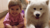 cute-kids-dogs-best-friends-friendship-153-5a99092d92b35__700.gif