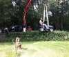 hedge trimmer.jpg