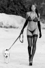 hot-girl-walking-dog.png