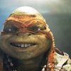 Turtle.jpg