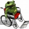 frog in wheelchair.jpg