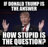 don question.jpg