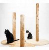 cat posts.jpg