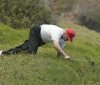 golf trump 2.jpg golf trump 2.jpg