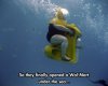 funny-picture-fat-woman-ocean-diving.jpg