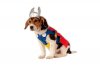 marvel-thor-dog-costume.jpg