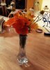 IMG_20200310_161943.jpg