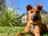 71B9731F-E79A-4813-A737-310D2B7F7AC7.jpeg