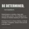 e9d7a7cd215d4f036c5be0f6e555fc18--setback-quotes-stubborn-quotes.jpg