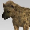 hyena_06.jpg689fbb54-a8ae-4010-be1e-f53d23341345Large.jpg