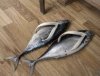 fish flops.jpg
