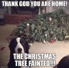 FB_IMG_1608505476117.jpg