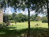 Back Yard.jpg Back Yard.jpg