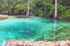 florida-best-springs-ponce-de-leon-springs.jpg