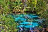 florida-best-springs-juniper-springs.jpg