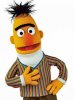 Bert.jpg