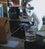 cat-glass.gif