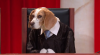 a05590e50af3478d9b52c10738887a32_1qXKoYV_3_original.png a05590e50af3478d9b52c10738887a32_1qXKoYV_3_original.png