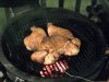CHICKEN1.jpg CHICKEN1.jpg