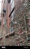 gum-wall-in-seattle-wall-with-bubble-gum-at-pike-place-market-gum-wall-in-seattle-2FHD5KE.jpg